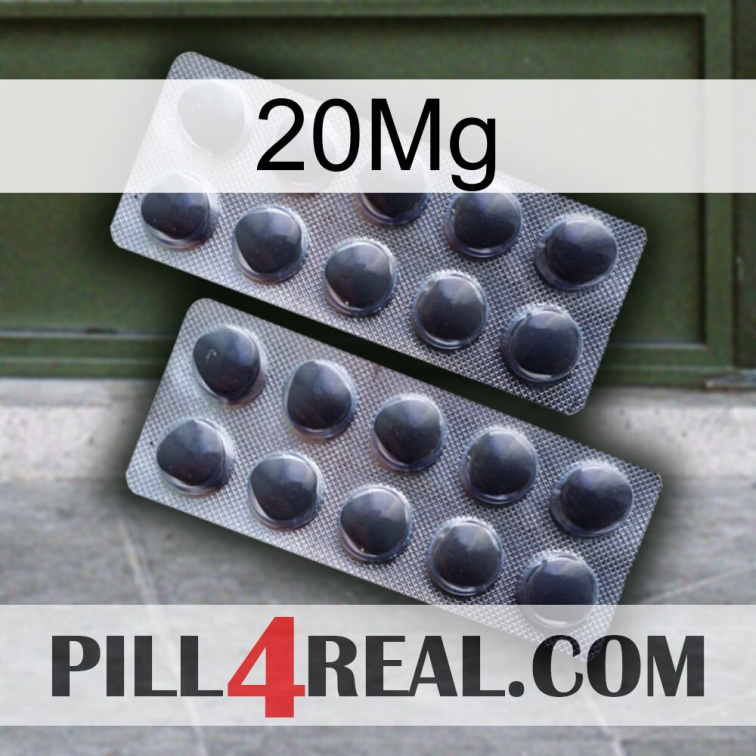 20Mg 31